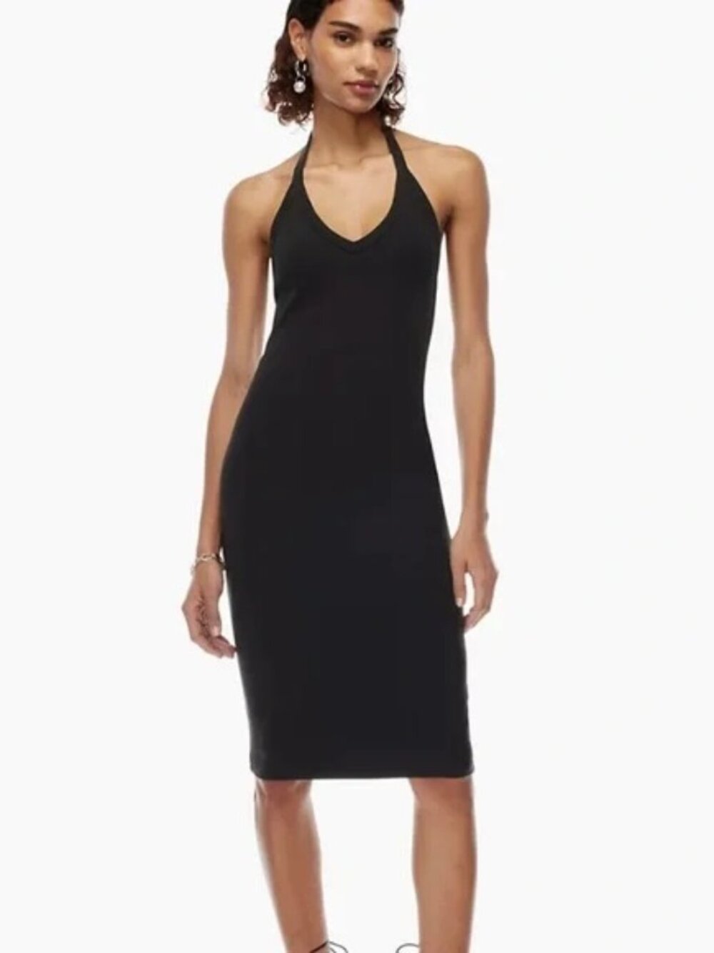 Aritzia Babaton Alvar Formarib Dress